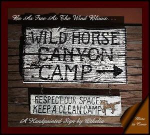 camp2.jpg
